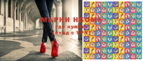 дживик Бородино