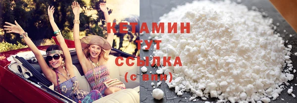 хмурый Верея