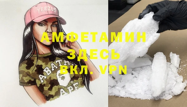 хмурый Верея