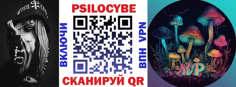 цена наркотик  Новоржев  Псилоцибиновые грибы Psilocybe 