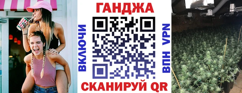 Конопля марихуана Новоржев